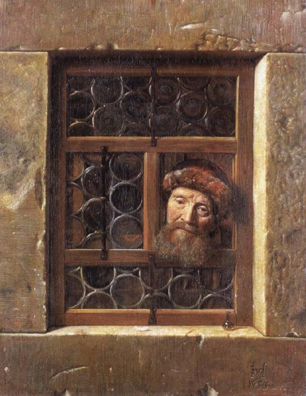 Samuel van hoogstraten Man Looking through a window Germany oil painting art